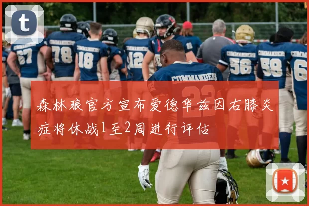 森林狼官方宣布爱德华兹因右膝炎症将休战1至2周进行评估